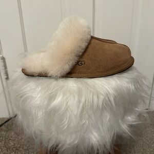 Chestnut UGG Slippers